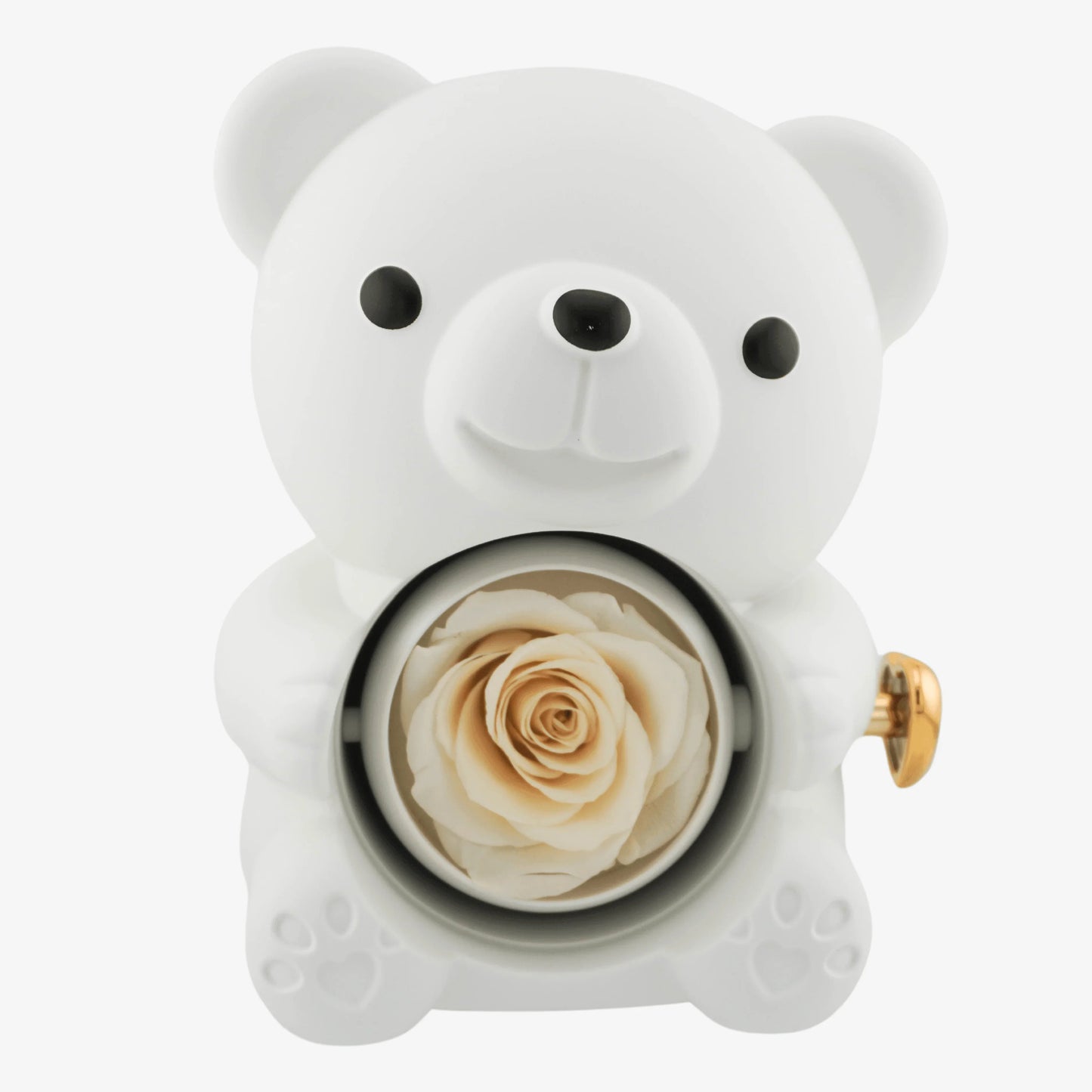 Eternal Rose Bear